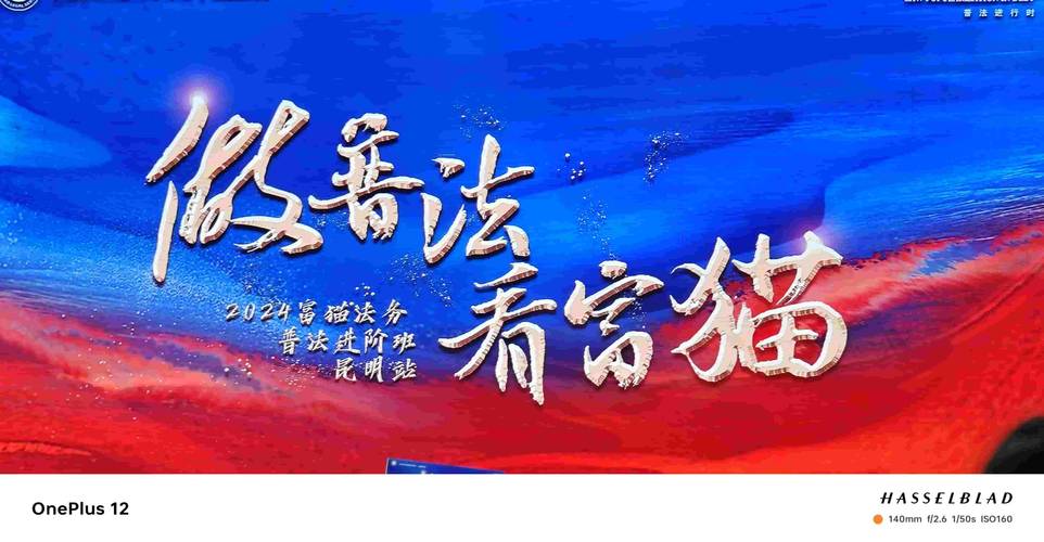 吉林白山富猫法务咨询 专业企业法律服务的可靠伙伴